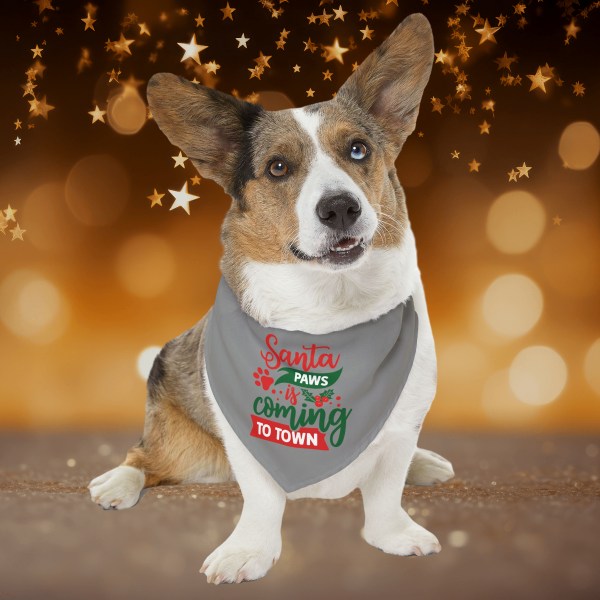 Celebrate Christmas in Style with the Santa Paws Bandana Collar for Pets.